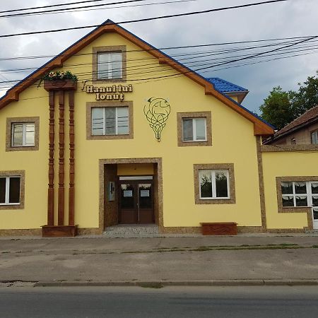 Hanul Lui Ionut Satu Mare Exteriér fotografie